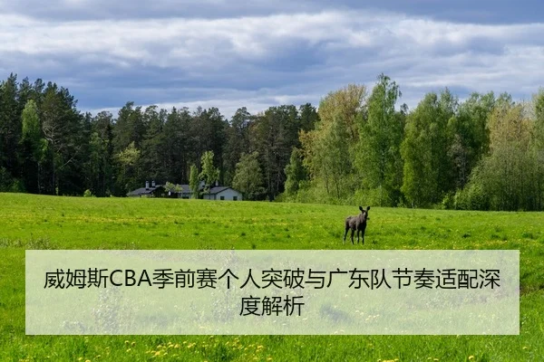 威姆斯CBA季前赛个人突破与广东队节奏适配深度解析 | milansport